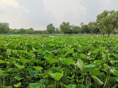 -东南大学(九龙湖校区)