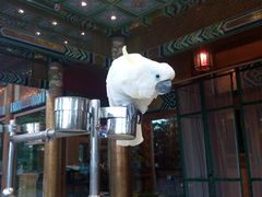 -那家小馆•北京菜•烤鸭(香山店)