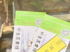 -上海大自然野生昆虫馆