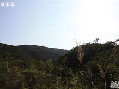 -海南热带雨林国家公园吊罗山景区