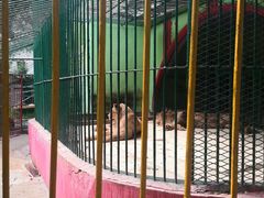 -荆州中山公园动物园