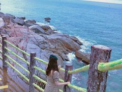 -广东惠东海龟国家级自然保护区