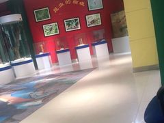 -上海昆虫博物馆