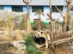 -青藏高原野生动物园