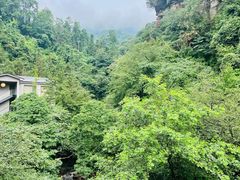 -碧峰峡风景区