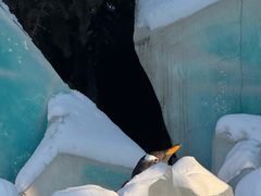 -哈尔滨波塞冬海底世界