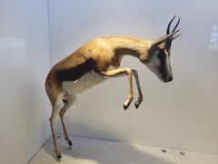 -重庆自然博物馆(新馆)