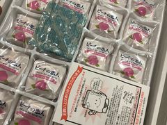 -关西国际机场直营免税店