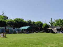 -洪湖家庭农场·团建·露营·会议