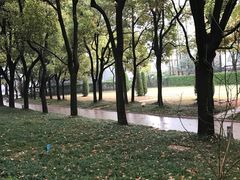 -宋庆龄陵园