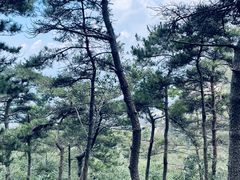 -沂蒙山旅游区龟蒙景区
