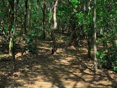 -宝界山林公园