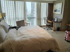 -秦皇岛秦皇国际大酒店