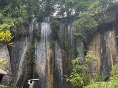 -西双版纳原始森林公园