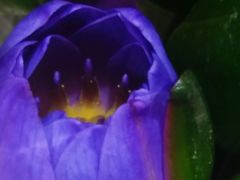 -AEON永旺(东方宝泰店)