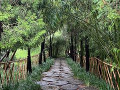 -洛阳白马寺