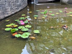 -惠和石文化园