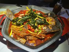 -马邦子·紫苏烤鱼(恒隆广场店)