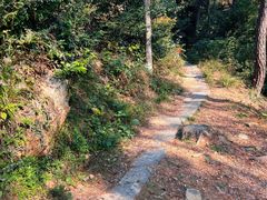 -青龙山国家森林公园
