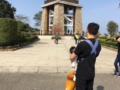 -大湾区中央湿地公园