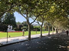 -上海师范大学西部食堂