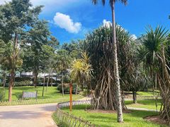 -中国科学院西双版纳热带植物园