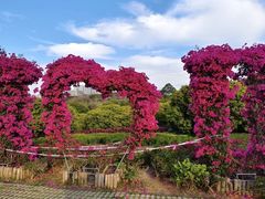 -东莞植物园