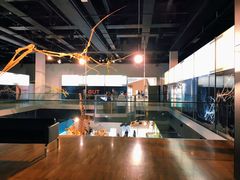 -墨尔本博物馆(Melbourne Museum)