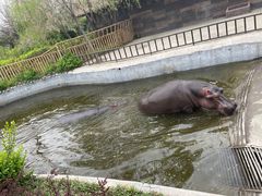 -济南野生动物世界