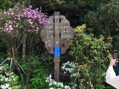 -梧桐山风景名胜区