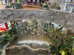 -向民炒鸡老店(金泰华府店)