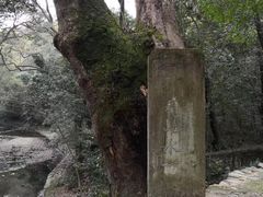 -天台山景区