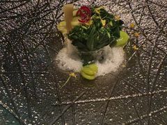 -地球美食剧场