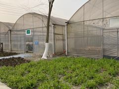 -洪湖家庭农场·团建·露营·会议