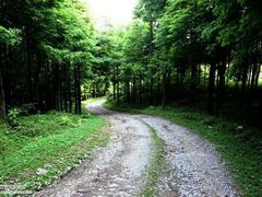 -山王坪喀斯特国家生态公园