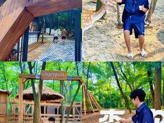 -南戴河国际娱乐中心