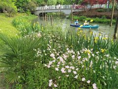 -上海浦江郊野公园-3号停车场