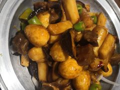 蜀香牛肉-东来菜馆•手抓海鲜家常菜•海鲜锅贴(鸽子窝店)