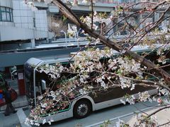 -上海南浦大桥长途旅游客运站