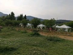 -名花谷生态庄园