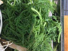 -金鼎雪山牦牛杂火锅(理县总店)