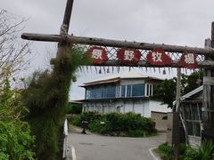 -原野牧场