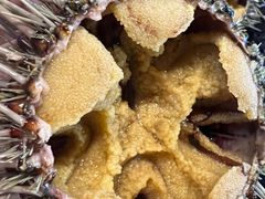 -鱼市酒店(威海水产批发市场店)