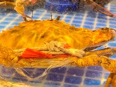 -海立阁海鲜江浙菜(漕河泾印象城店)