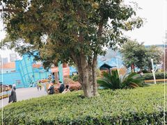 -海合安武汉极地海洋公园
