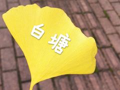 -白塘生态植物园