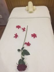 -香榭丽舍·海菲秀·皮肤管理痘敏肌修护