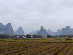 -明仕田园