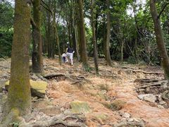 -火炉山森林公园