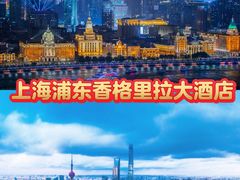 -上海浦东国际机场-T2航站楼